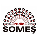 RadioSomes